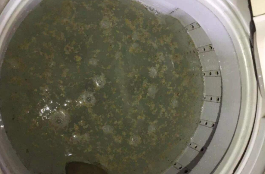 洗衣機(jī)不排水